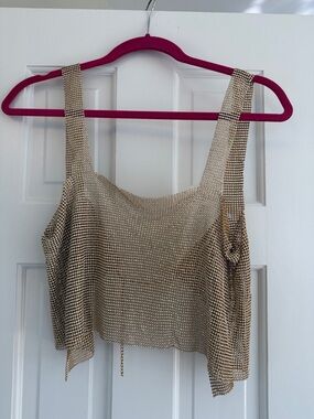 Metallic Beige Chainmail Crop Tank Top